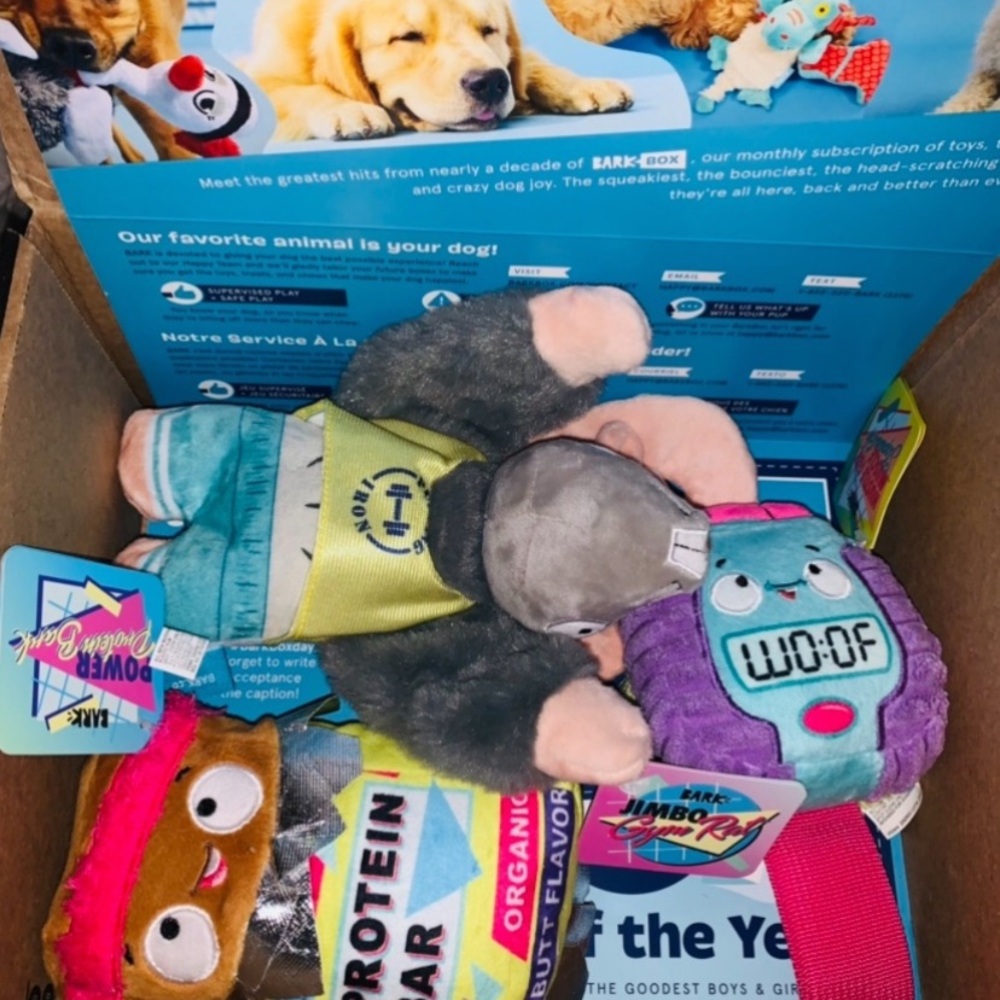 NEW SET OF 3 BARK BOX DOG TOYS FROM THEIR EXERCISE THEME BOX
